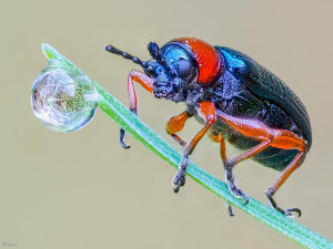 P9075917_C-286